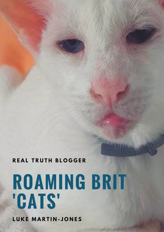 Category: Cats - Roaming Brit